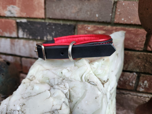 Black Leather Dog Collar with Metallic Red Padding and Stud Detailing