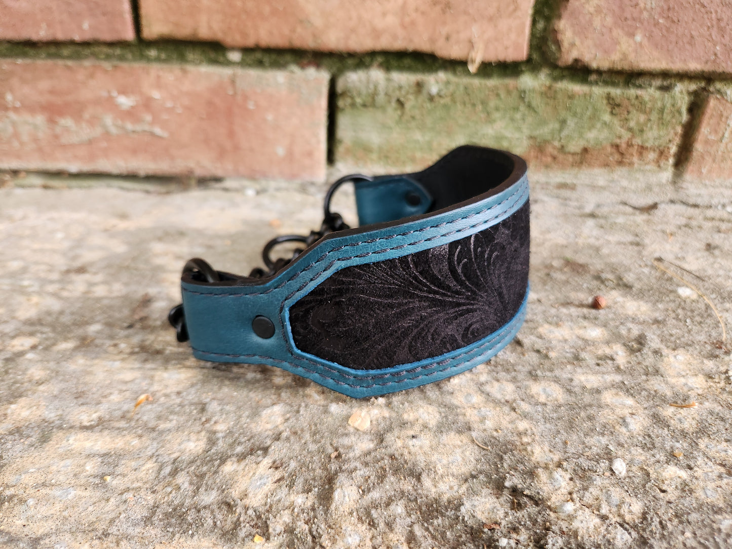 Teal and black martingale