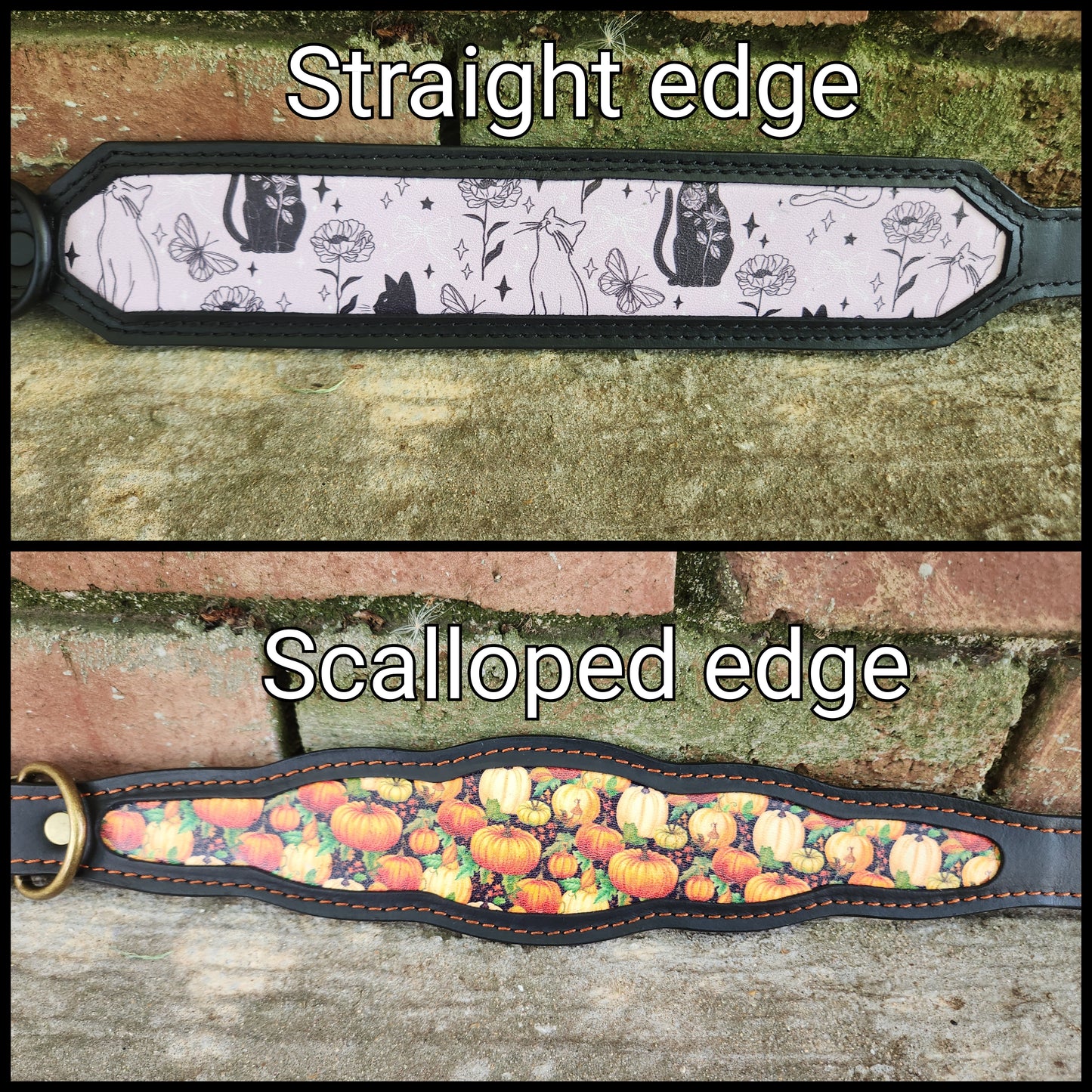 Custom 2in Wide Martingale Collar W/Frame