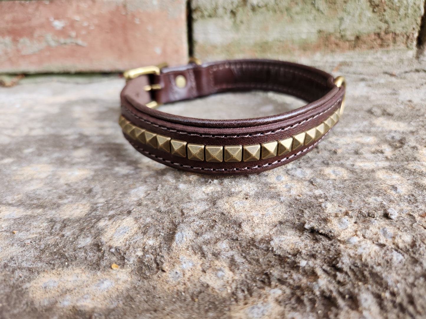 Dark Brown Leather Dog Collar with Pyramid Studs and Dual D-Rings