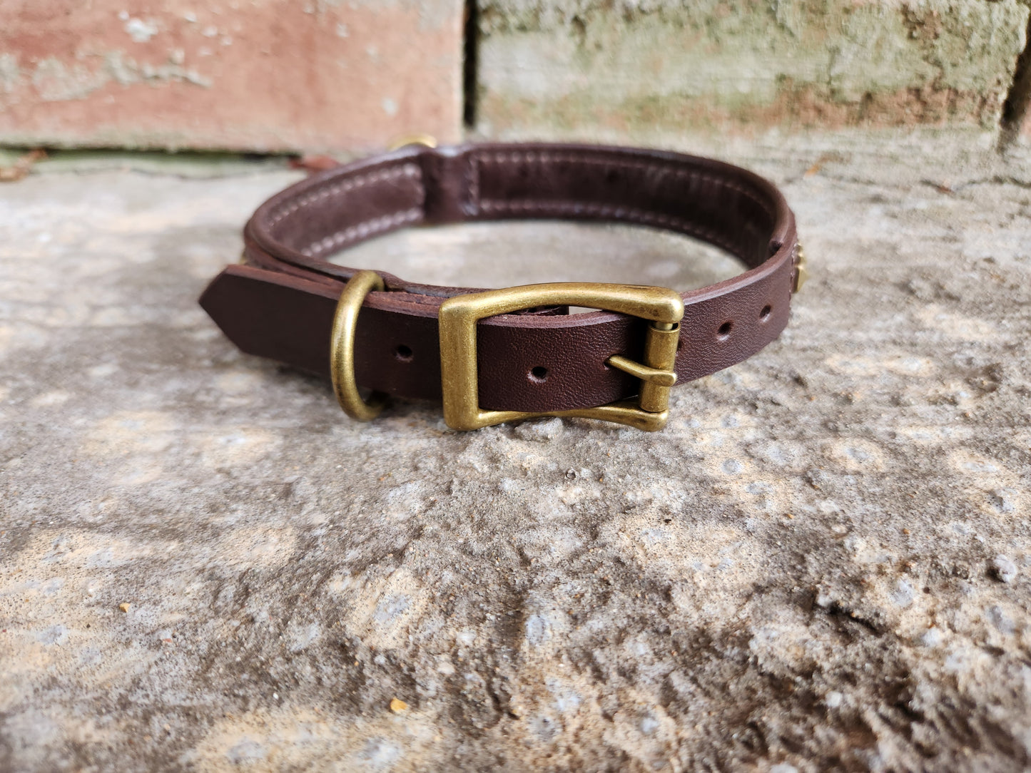 Dark Brown Leather Dog Collar with Pyramid Studs and Dual D-Rings