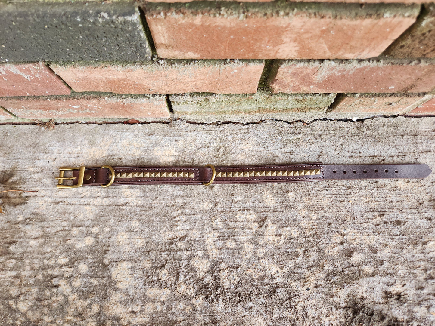 Dark Brown Leather Dog Collar with Pyramid Studs and Dual D-Rings