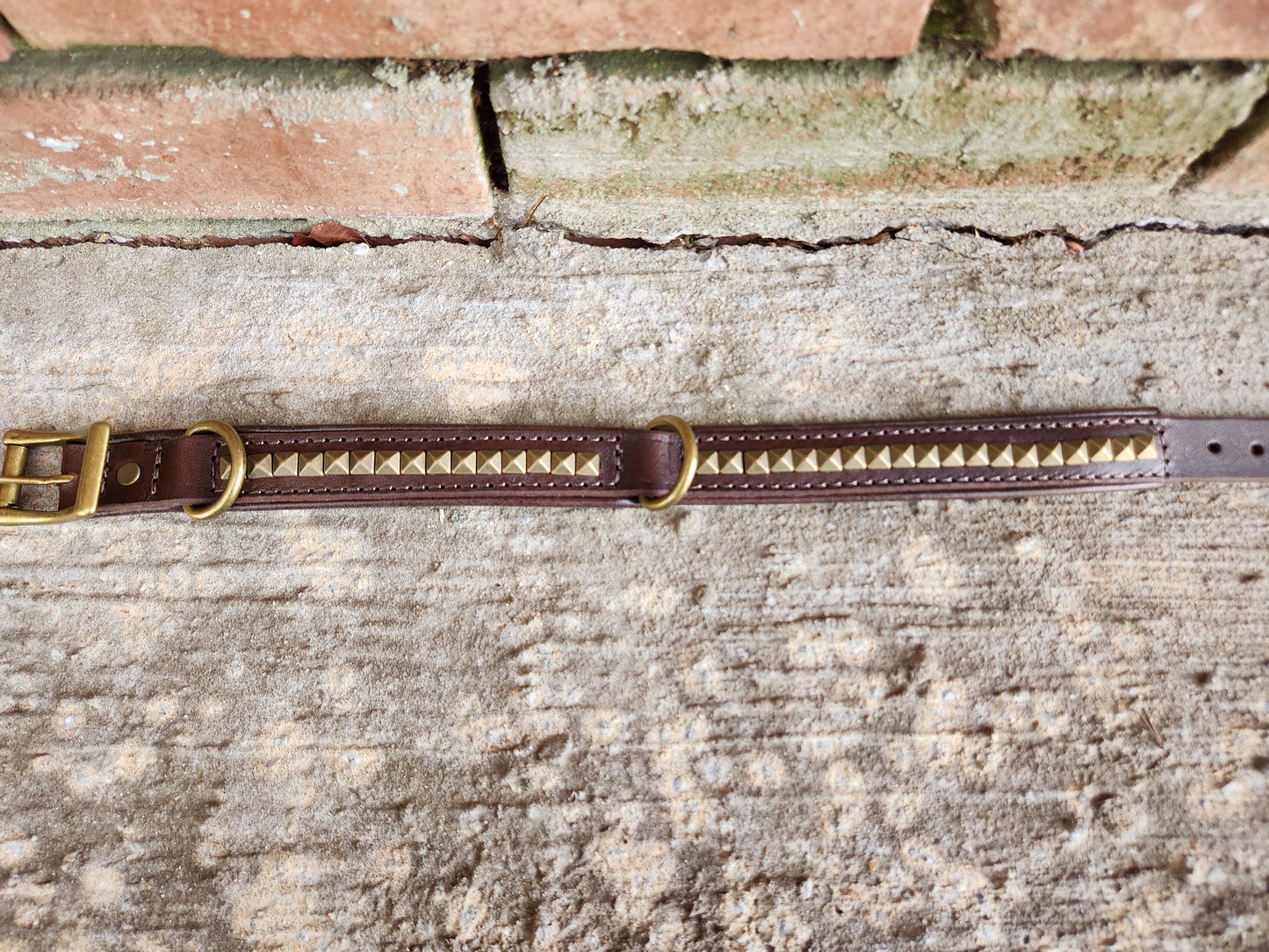 Dark Brown Leather Dog Collar with Pyramid Studs and Dual D-Rings