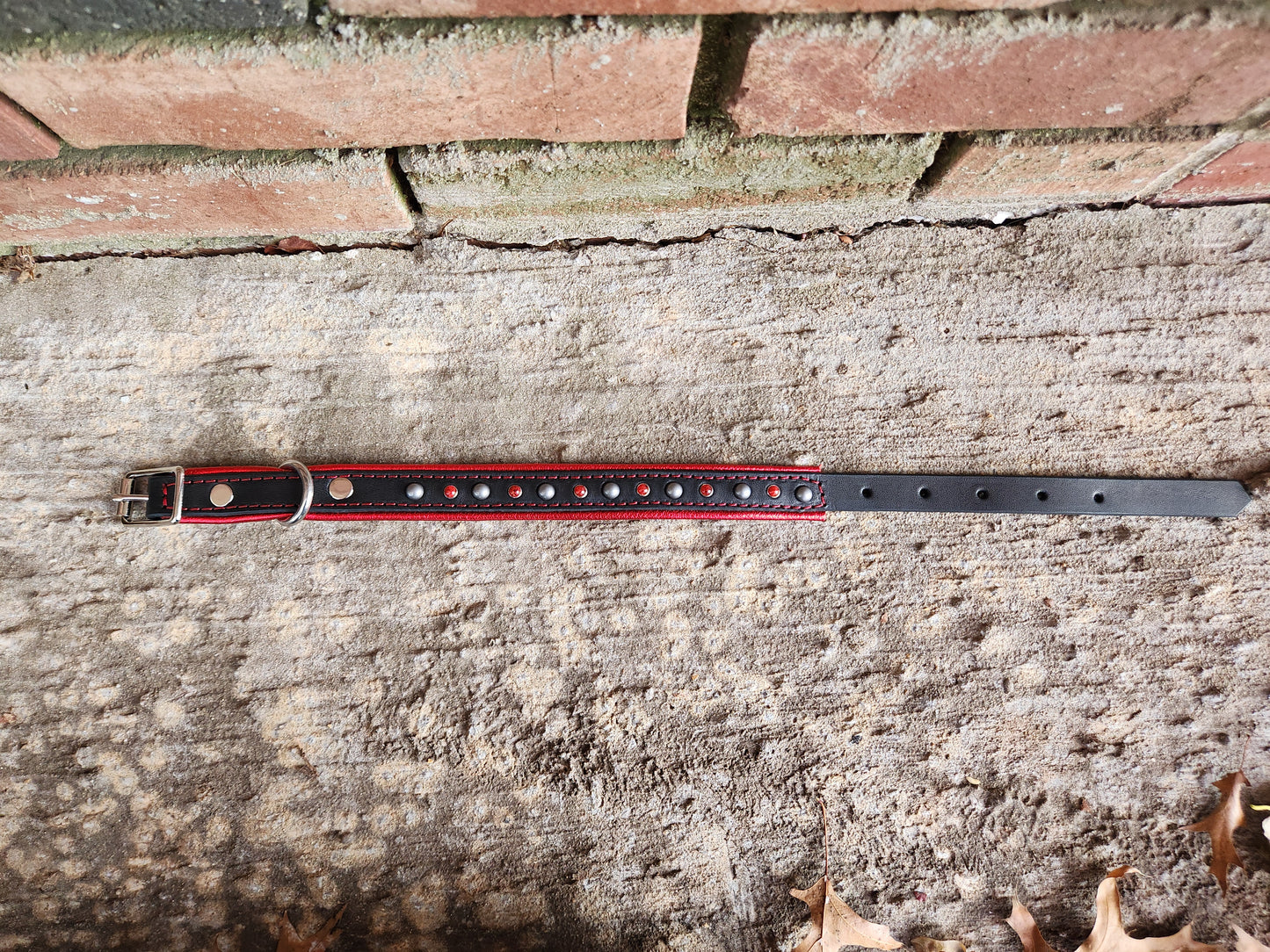 Black Leather Dog Collar with Metallic Red Padding and Stud Detailing
