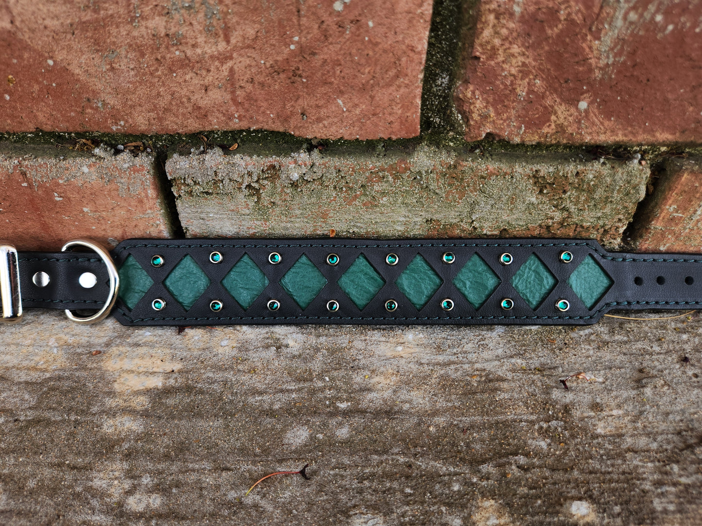Green and Black Collar
