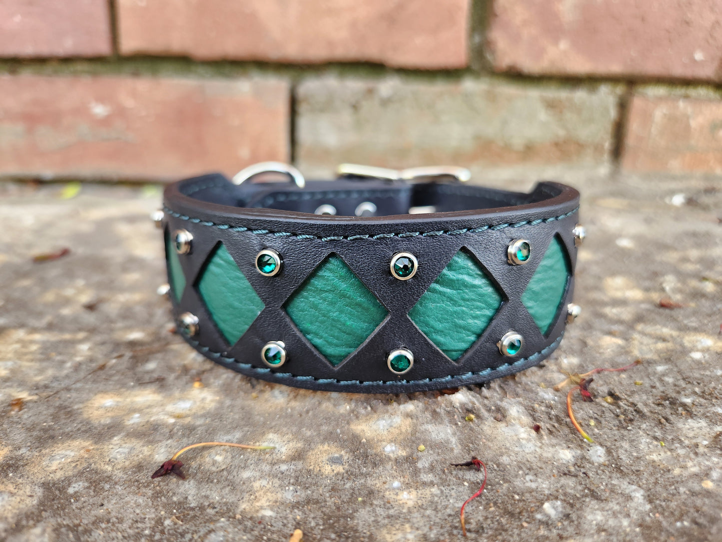 Green and Black Collar