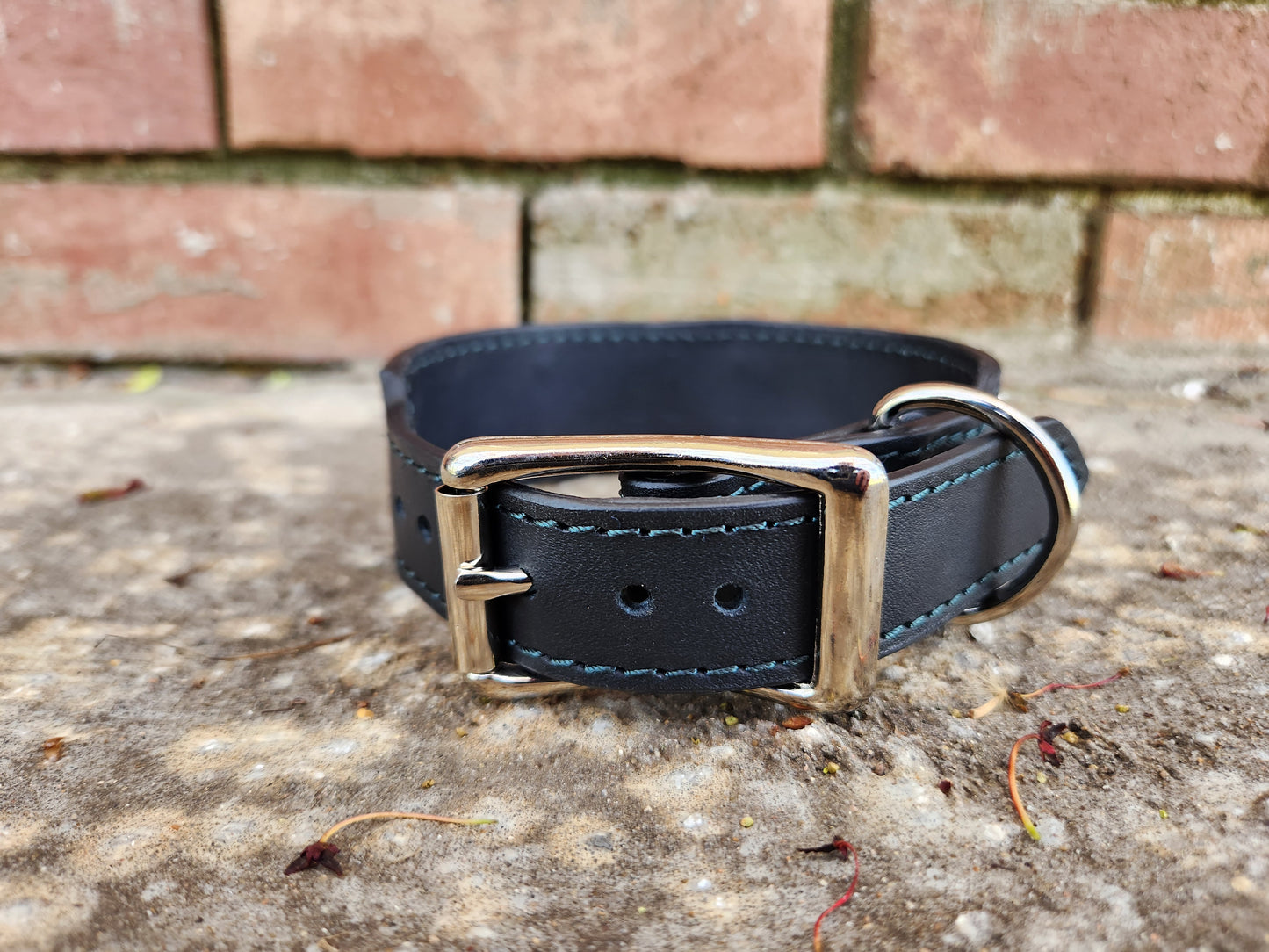 Green and Black Collar