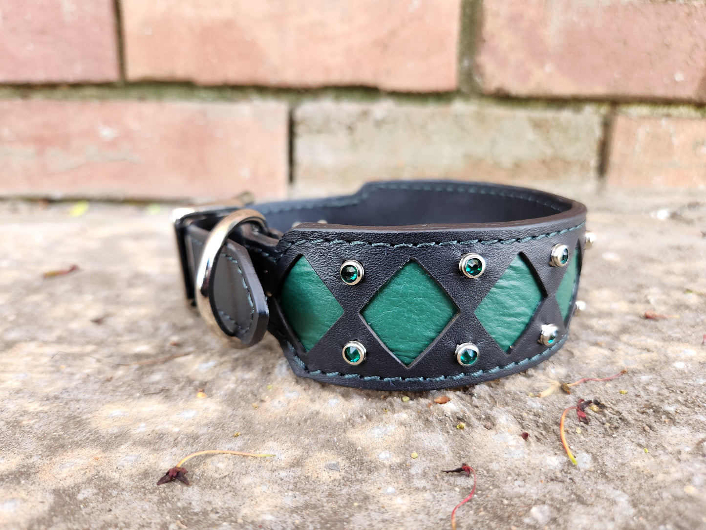 Green and Black Collar