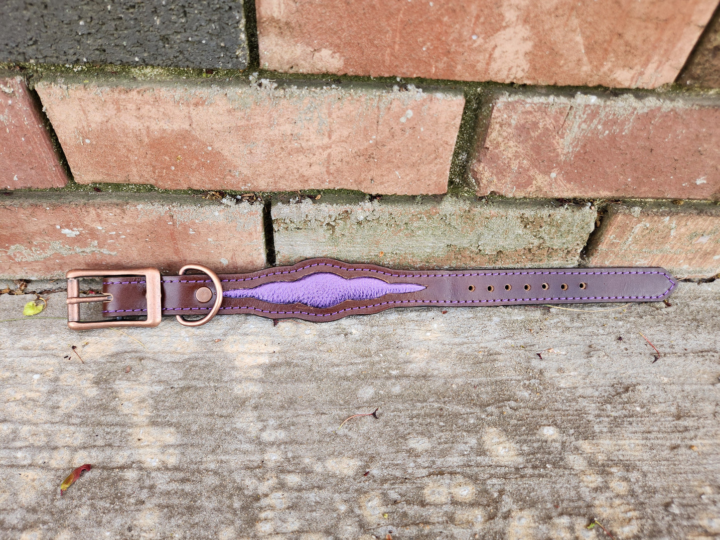Scalloped Brown/Purple Collar