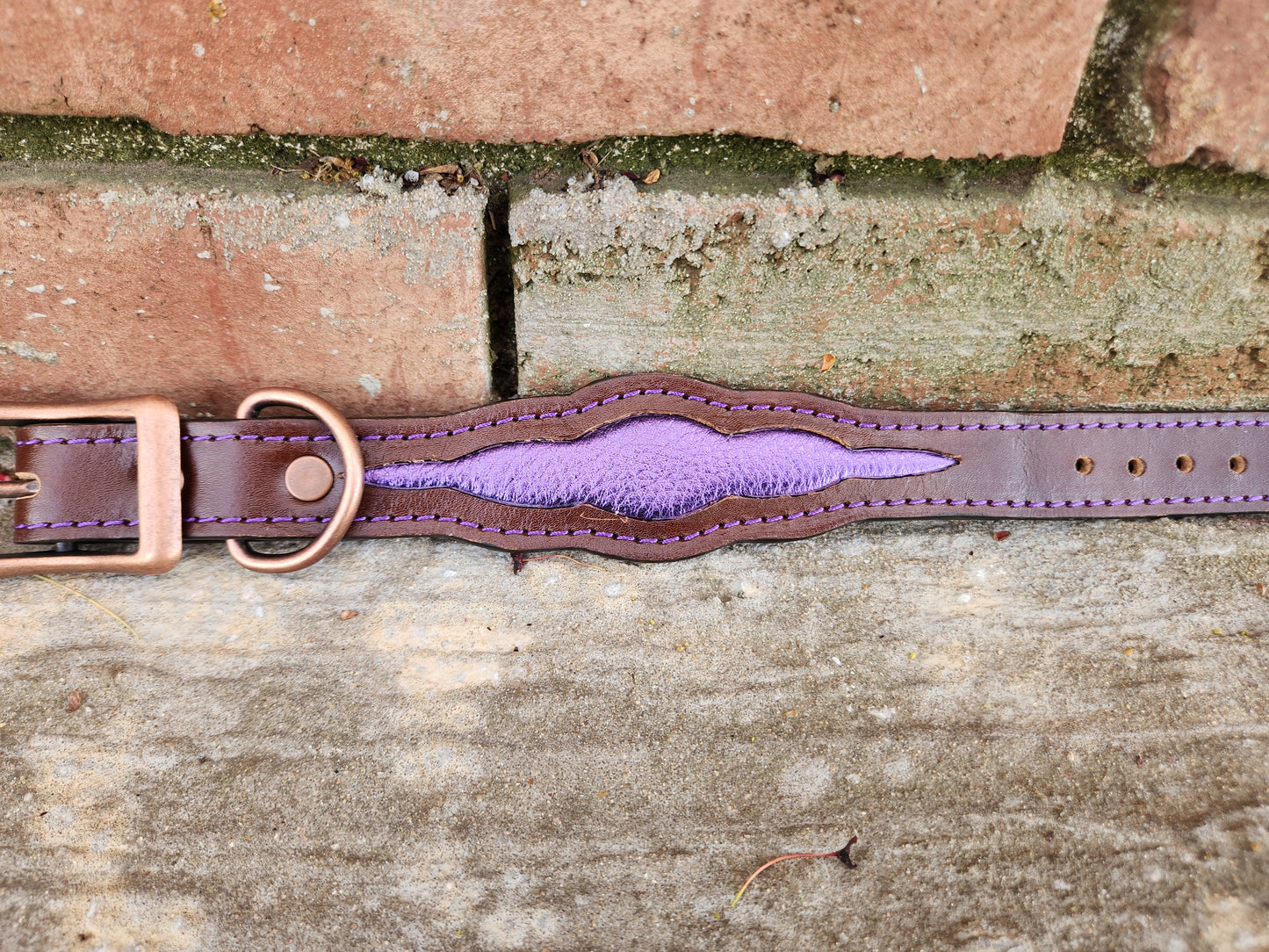 Scalloped Brown/Purple Collar