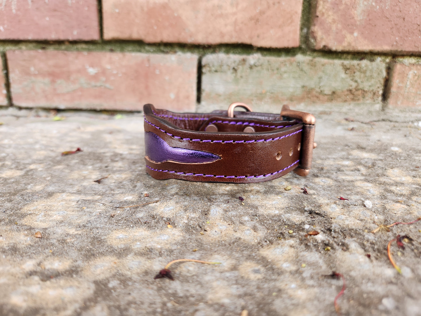 Scalloped Brown/Purple Collar