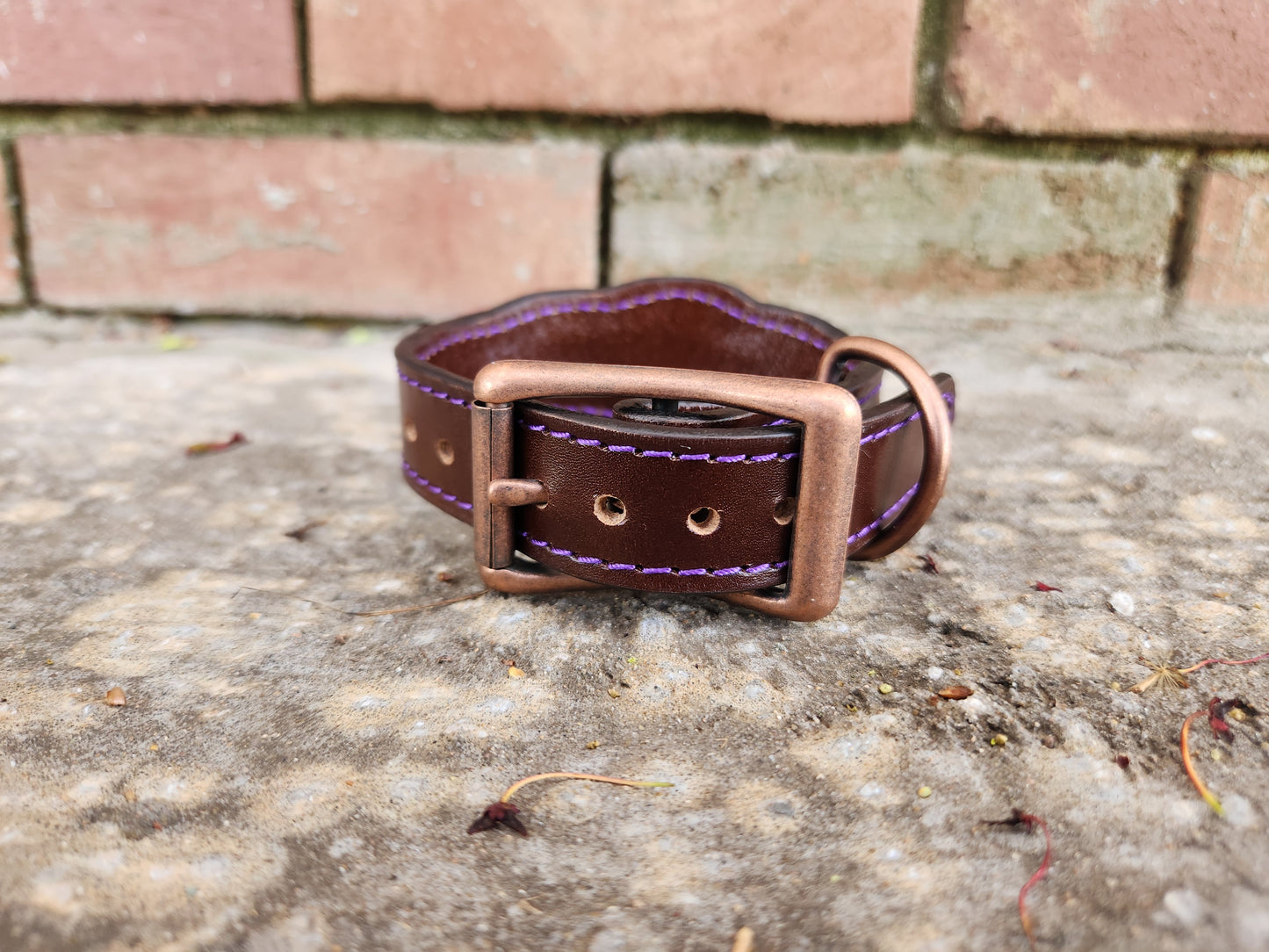 Scalloped Brown/Purple Collar