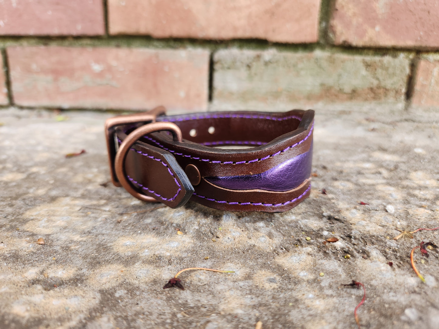 Scalloped Brown/Purple Collar