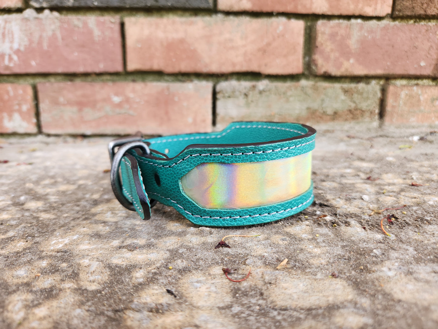 Iridescent Collar