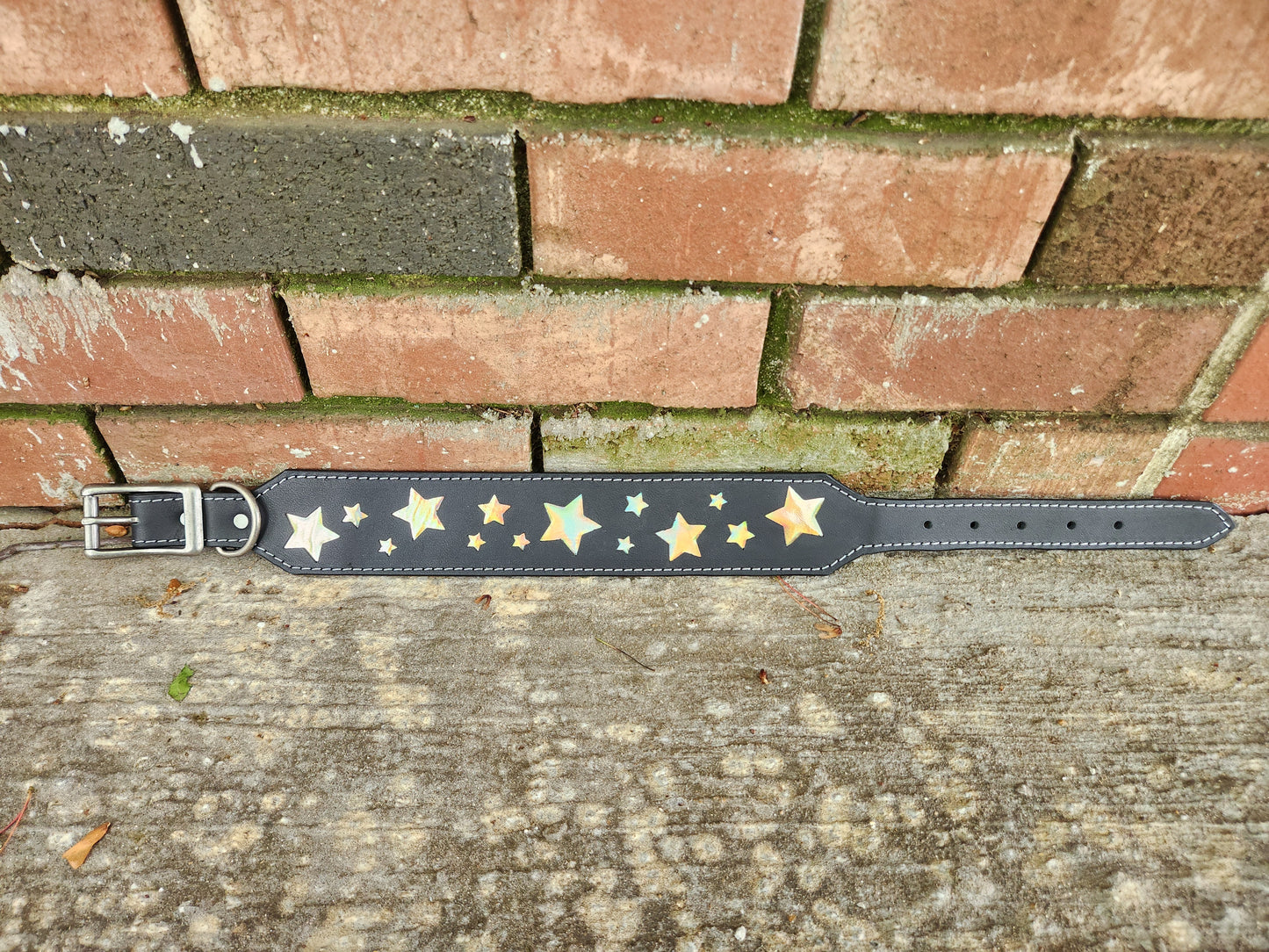Custom Starry Night Collar