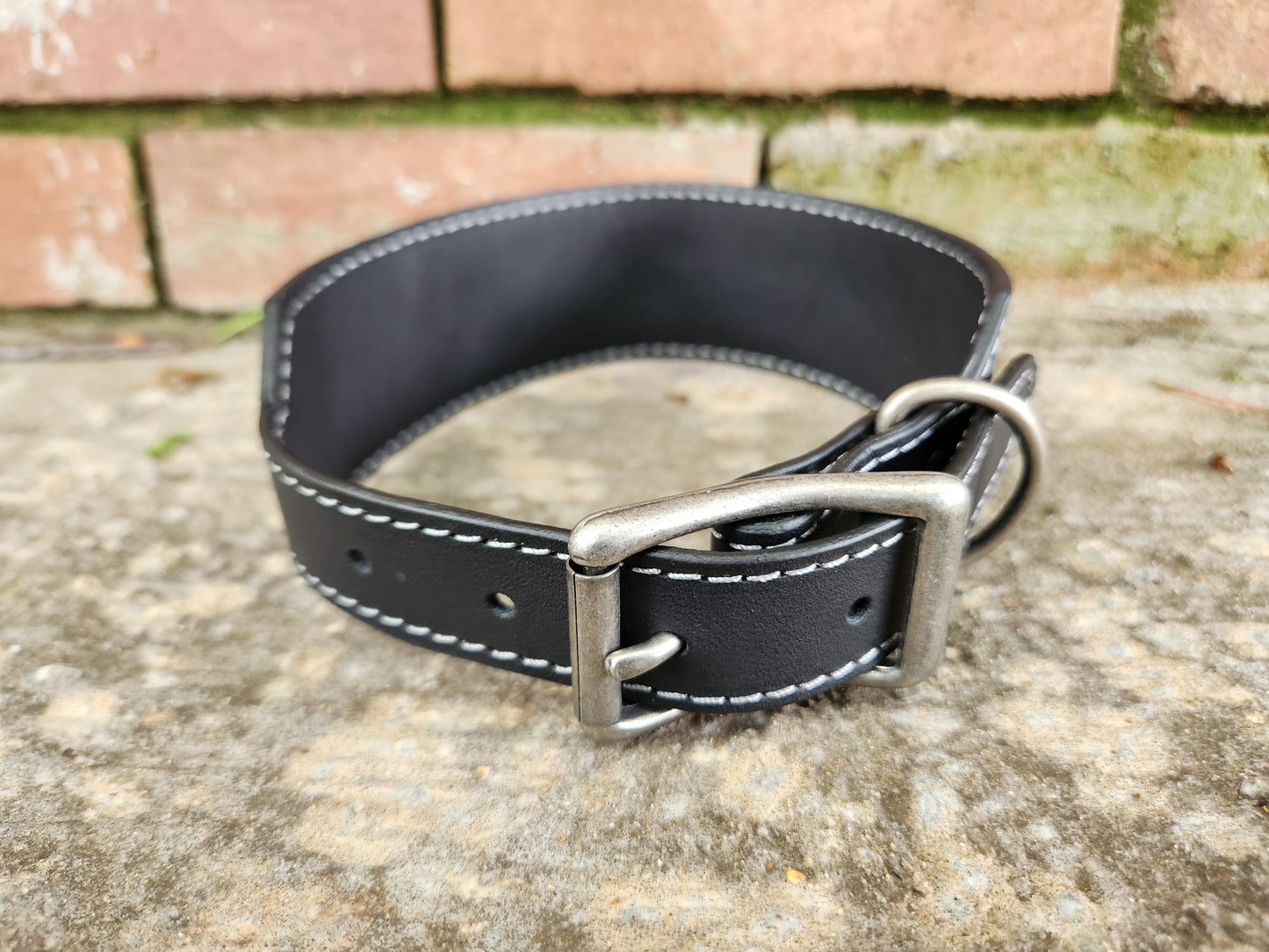 Custom Starry Night Collar