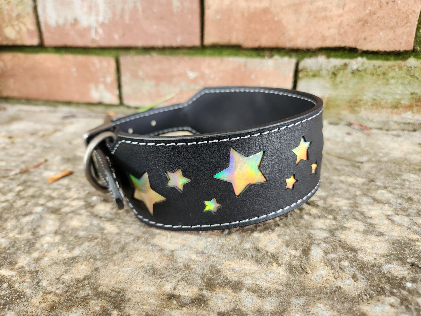 Custom Starry Night Collar