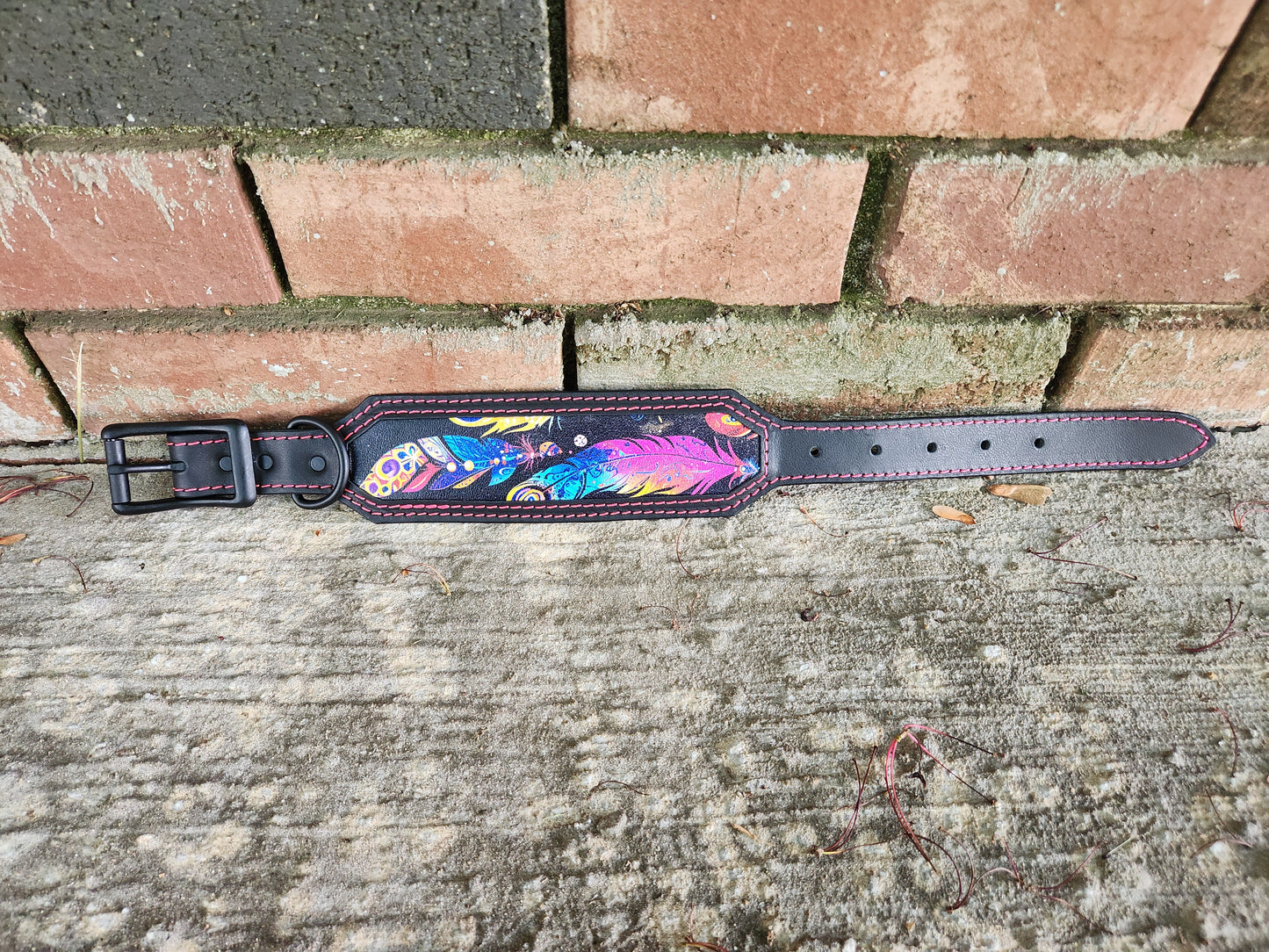Custom Feather Collar