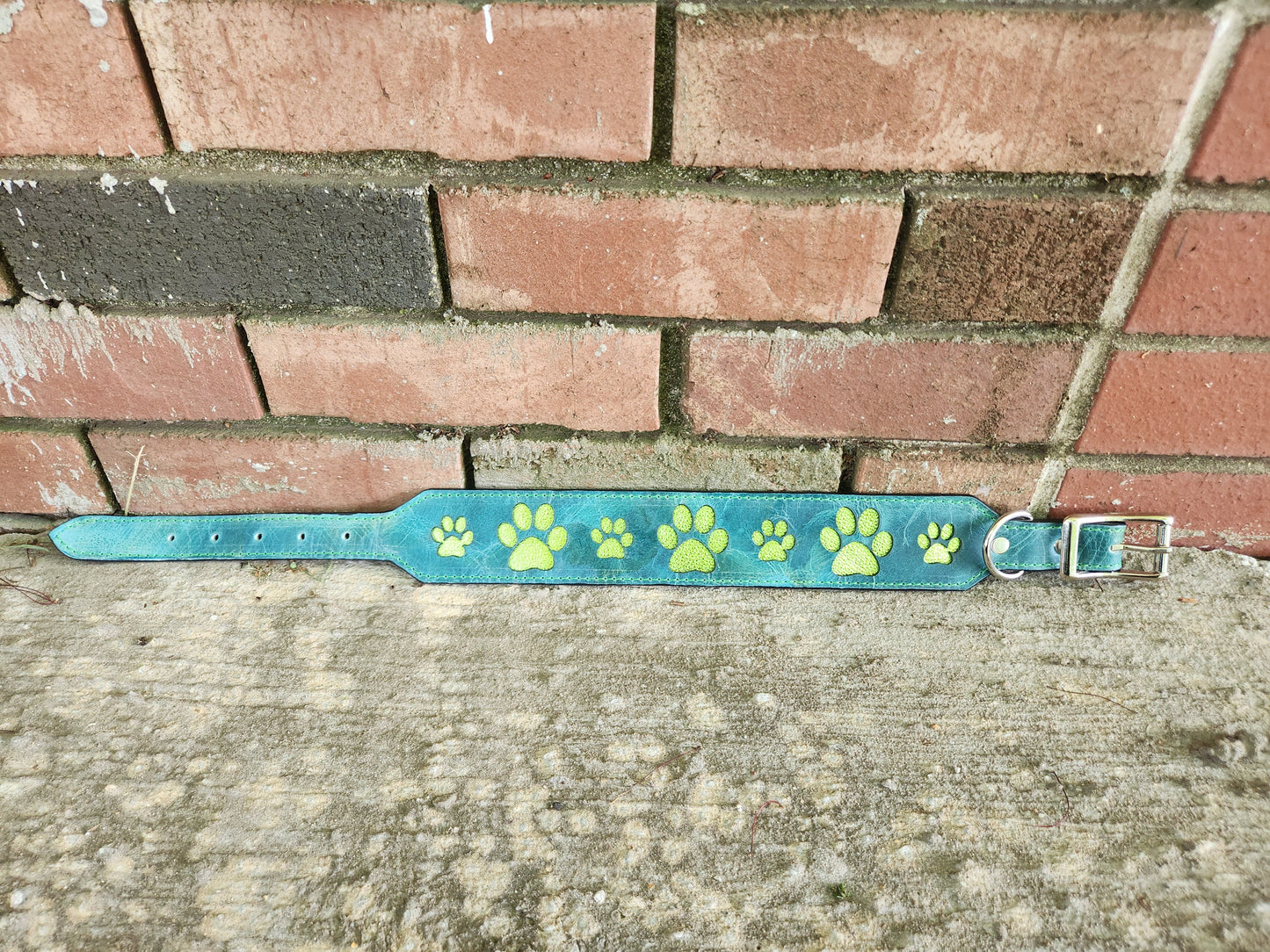Custom Watercolor Paw Print Collar