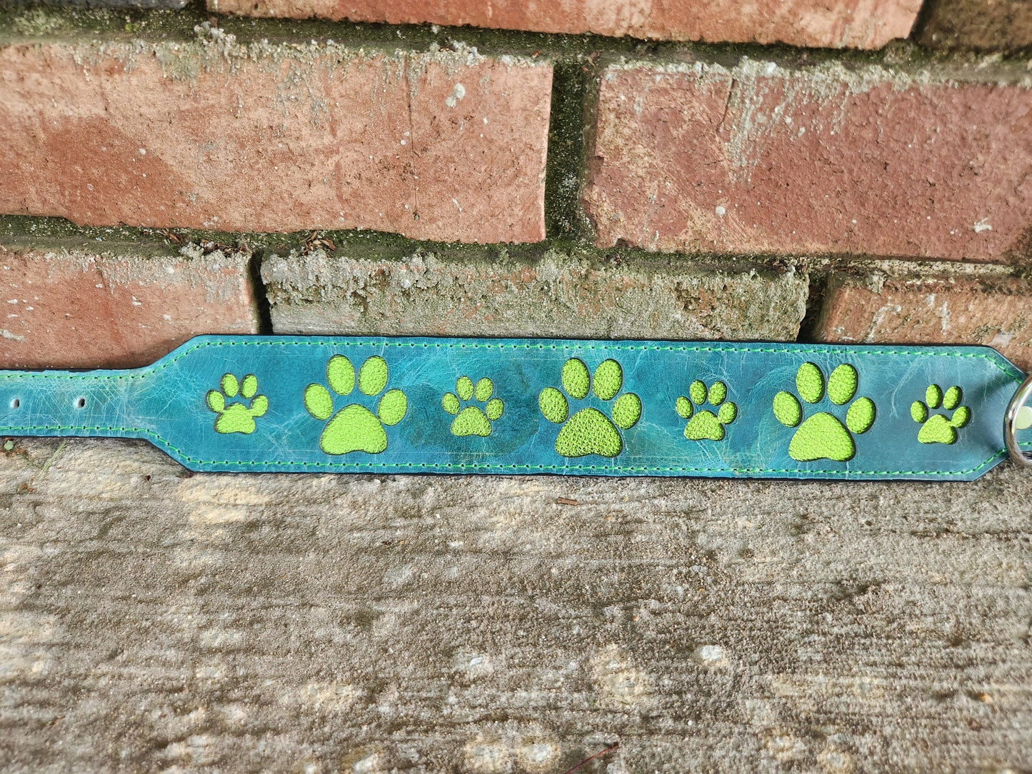 Custom Watercolor Paw Print Collar