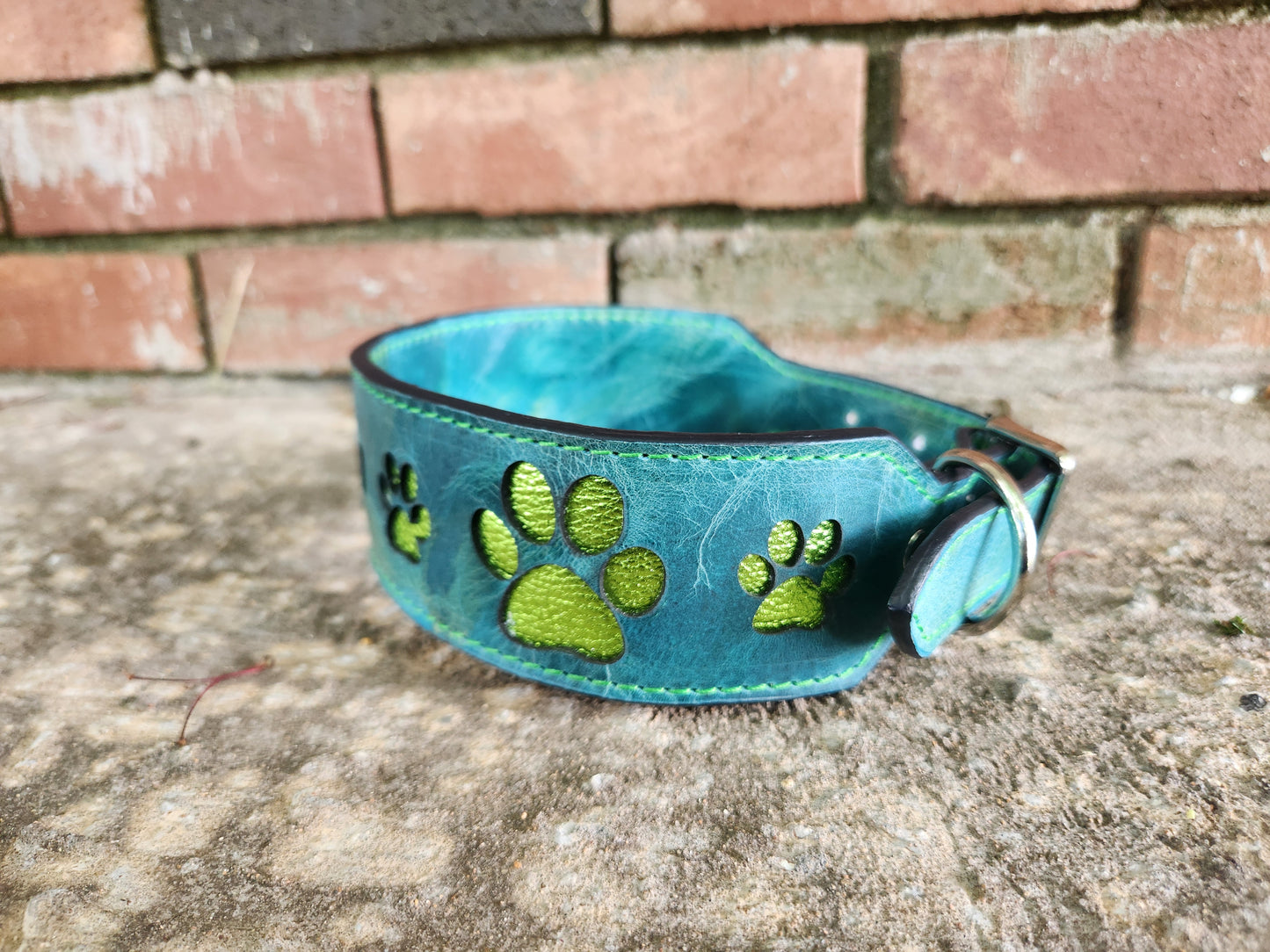 Custom Watercolor Paw Print Collar