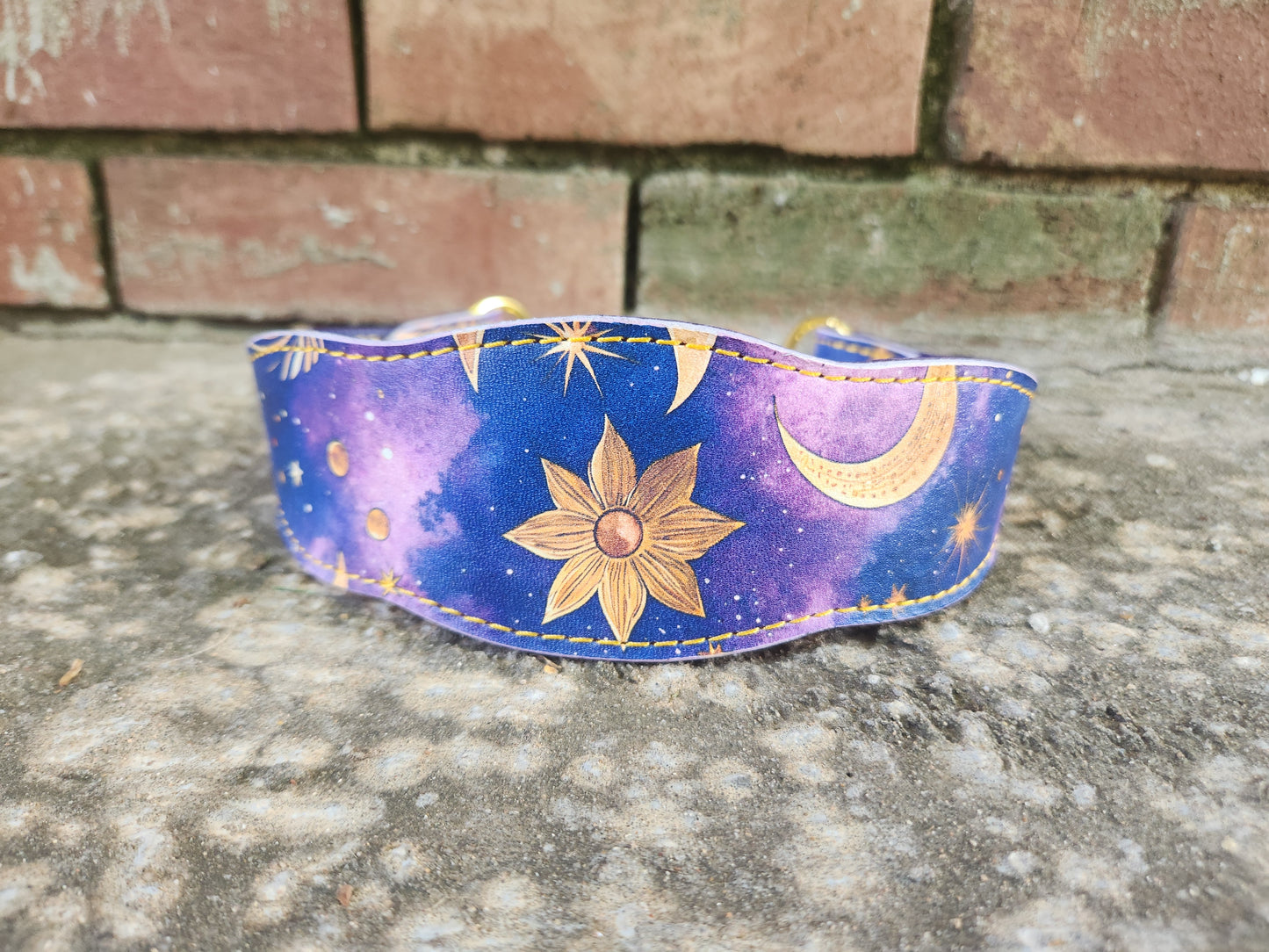 Custom 1.5in Wide Buckle Collar
