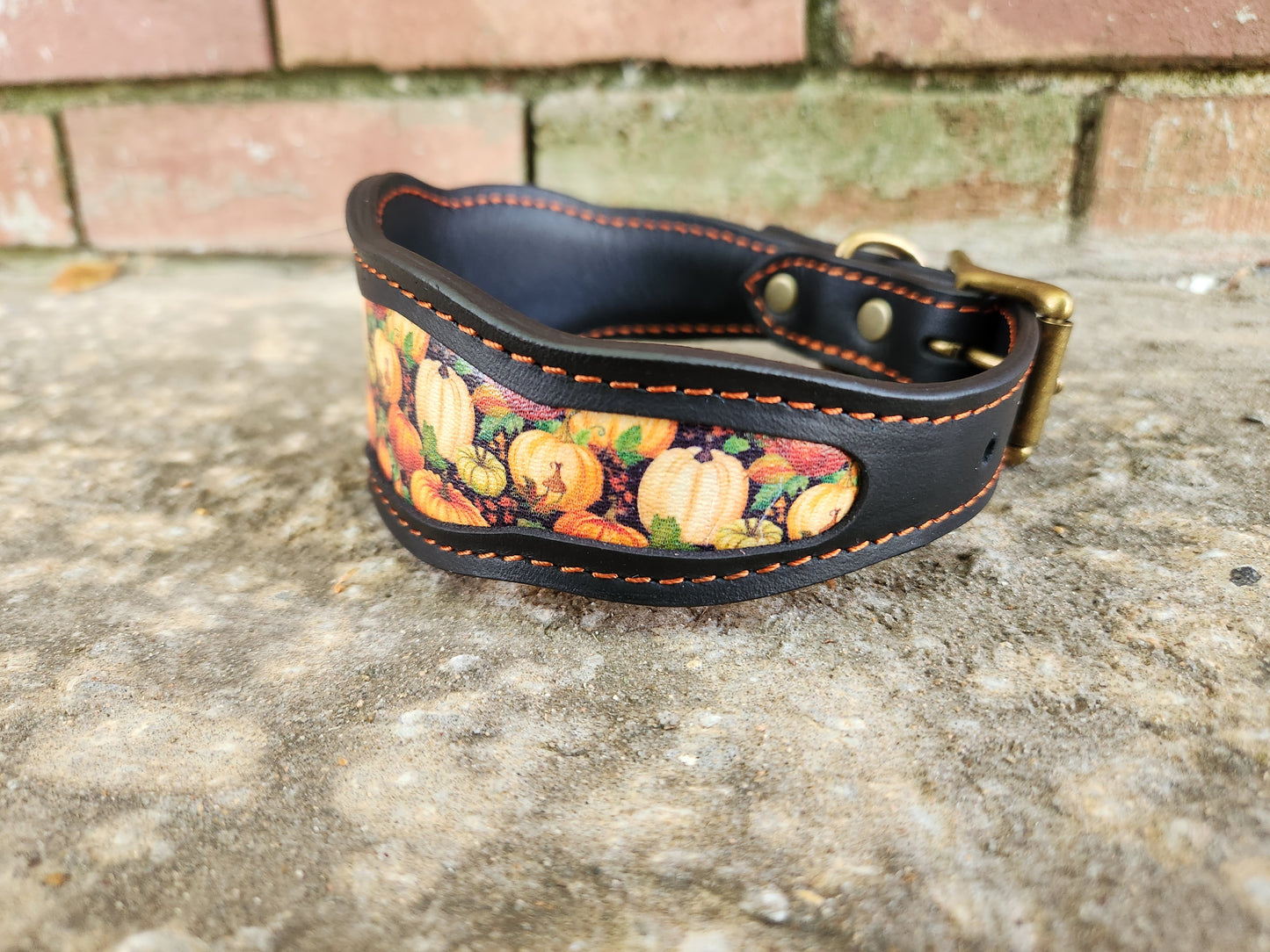 Custom Pumpkin Collar