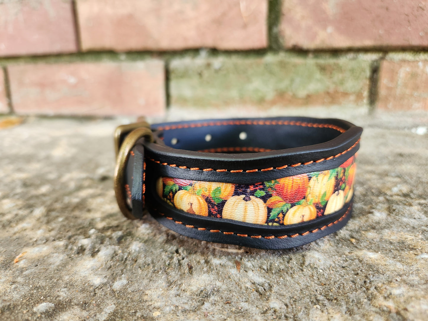 Custom Pumpkin Collar