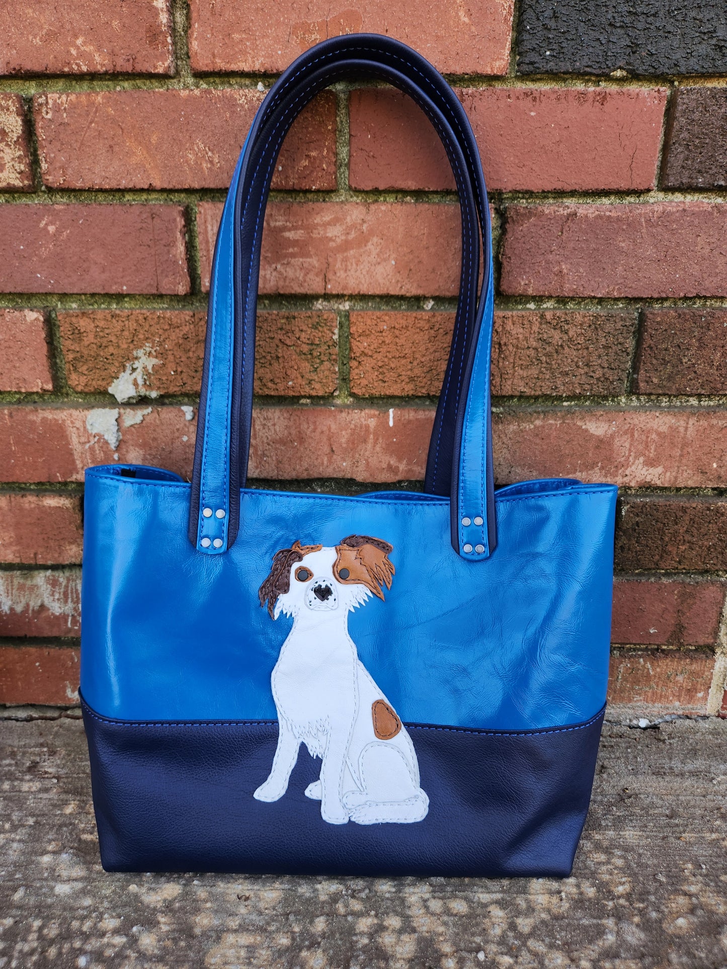 Tote Bag Dual Color with Applique