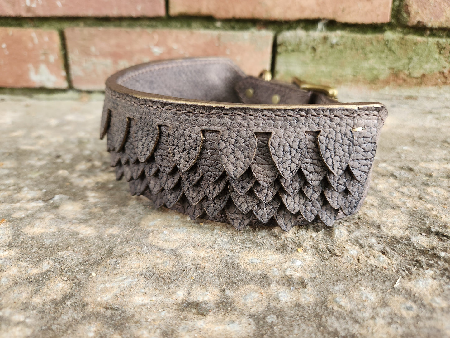 Acorn Scales