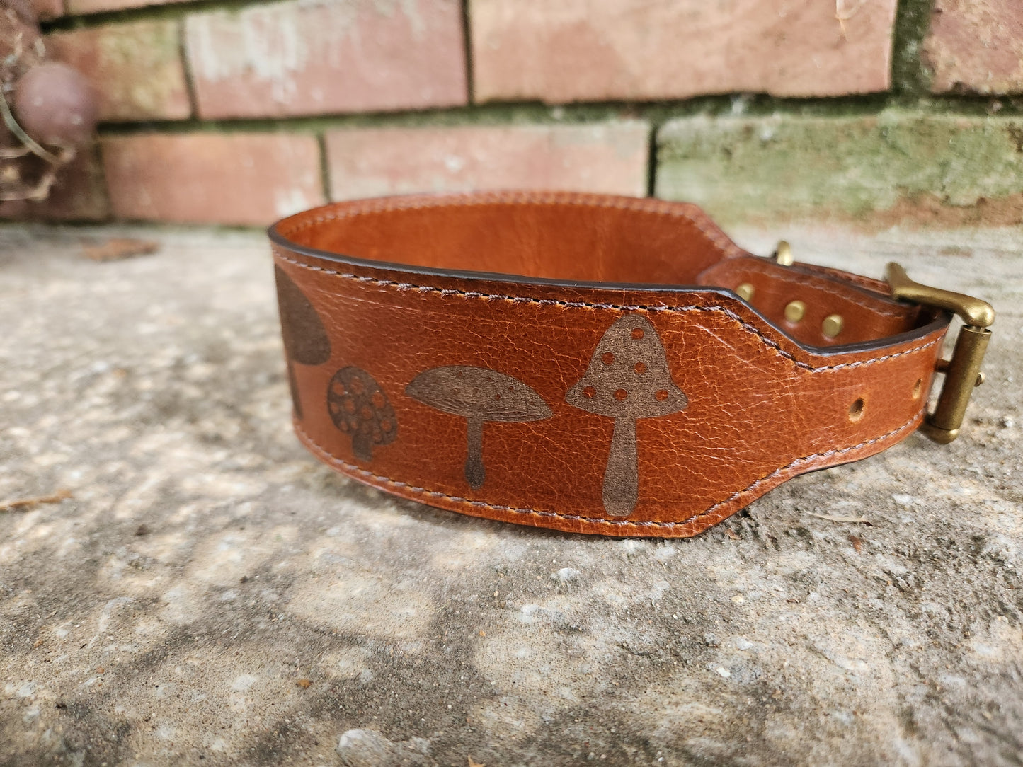 Mushroom Collar