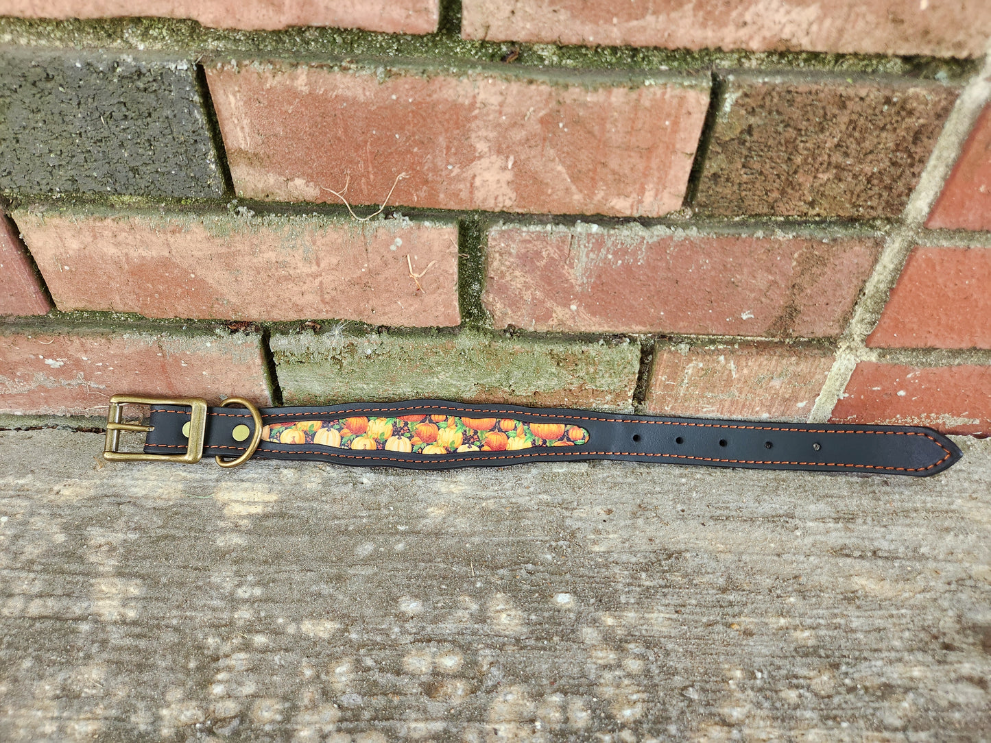 Custom Pumpkin Collar