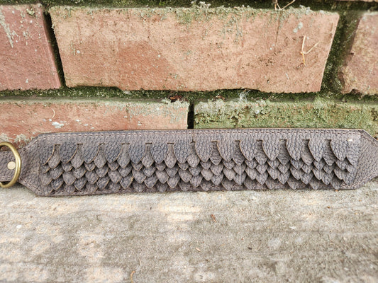 Acorn Scales