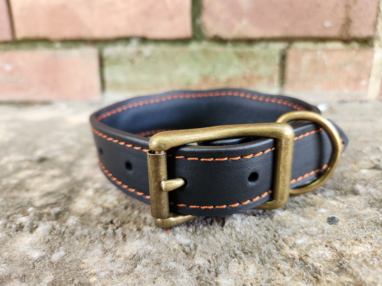 Custom Pumpkin Collar