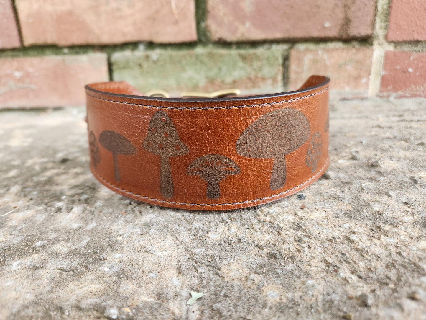 Mushroom Collar