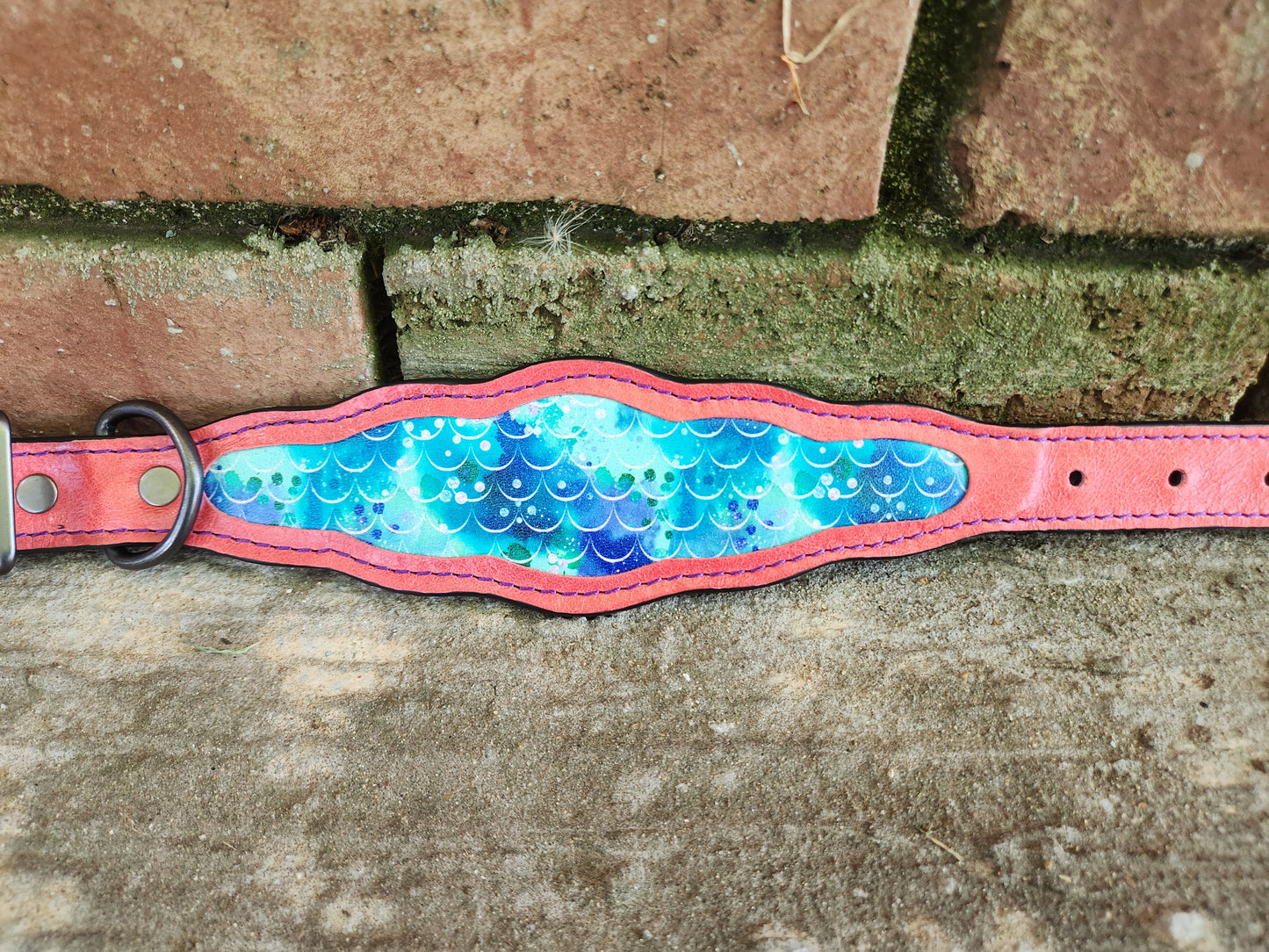 Custom 2in Wide Buckle Collar W/Frame