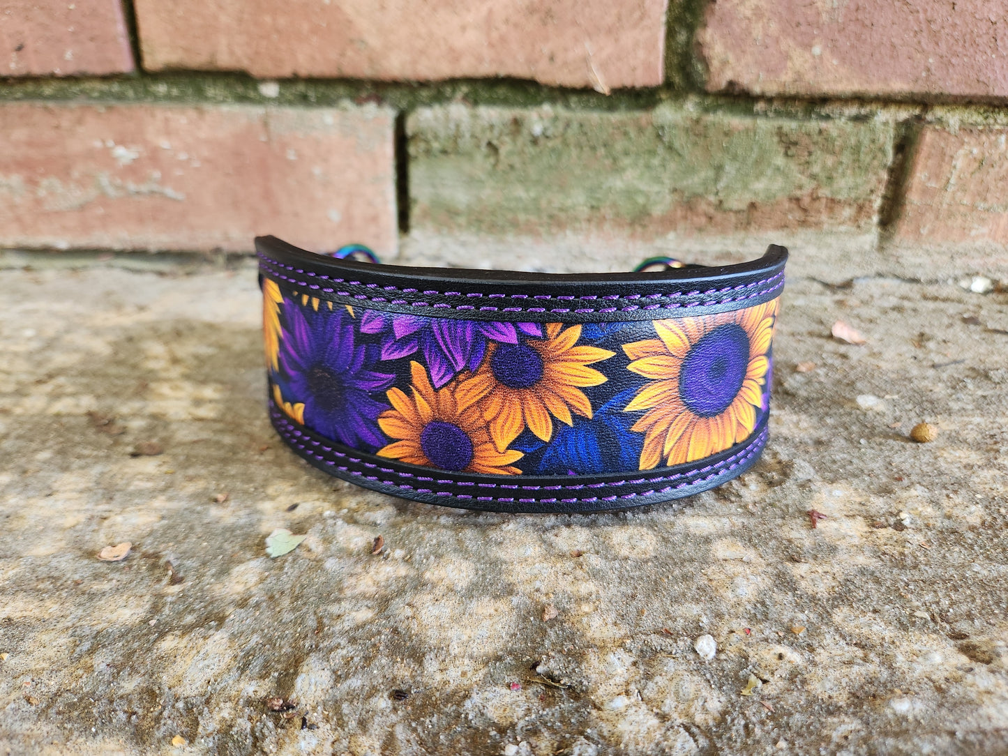 Custom 2in Wide Martingale Collar W/Frame