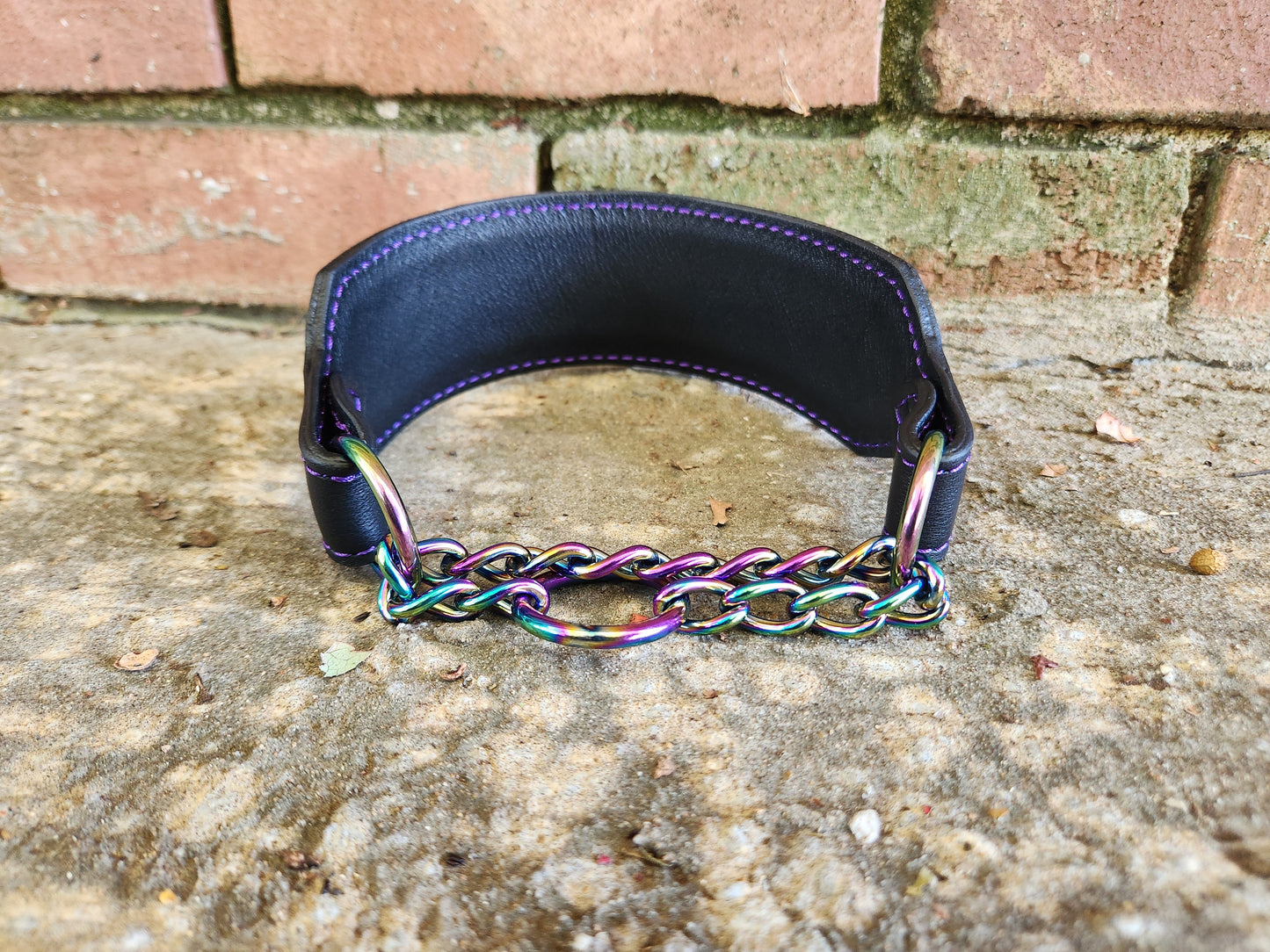 Custom 2in Wide Martingale Collar Frameless