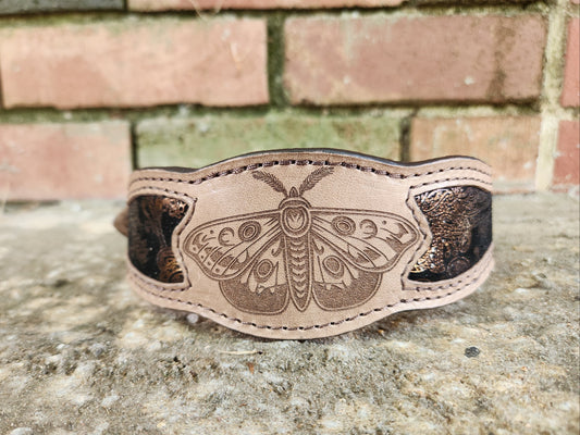 Moth