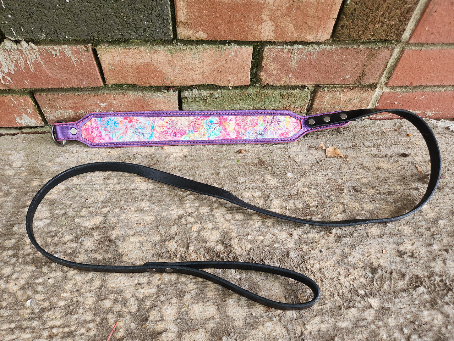 Colorful Slip Leash
