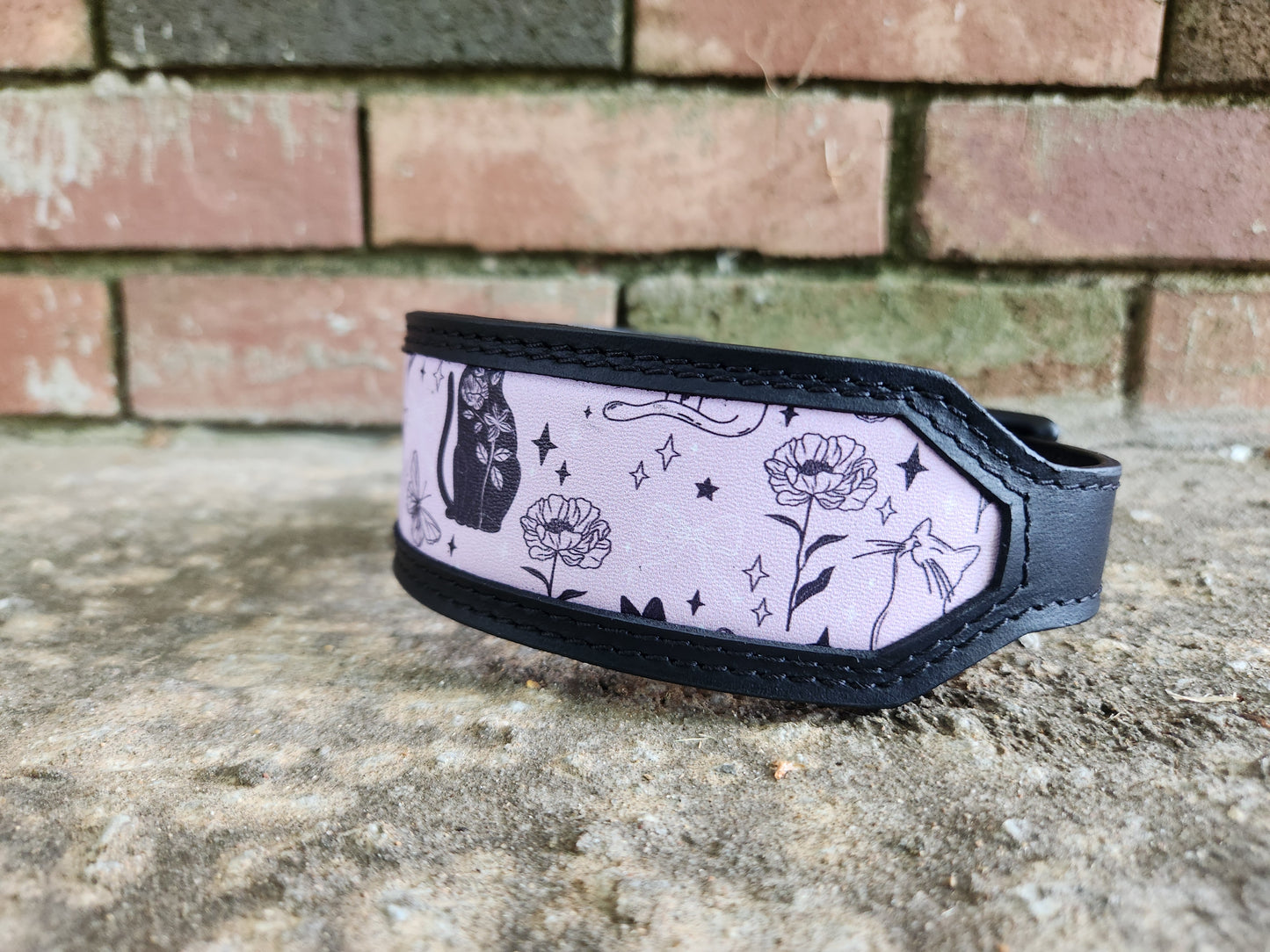 Custom Magical Cats Collar