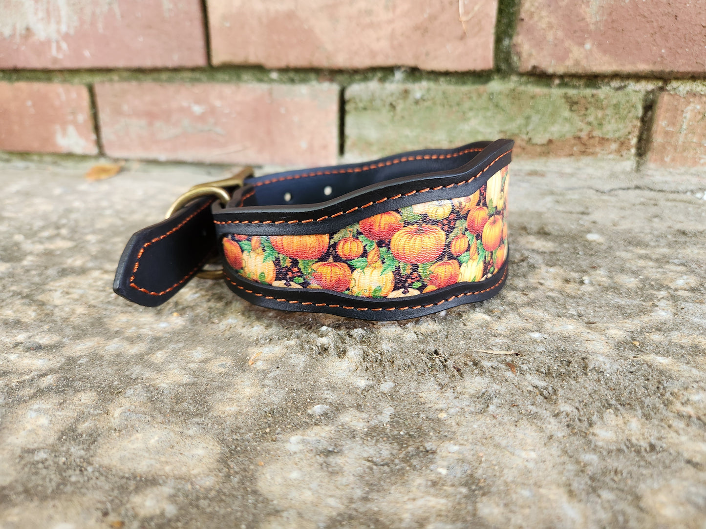 Custom Pumpkin Collar