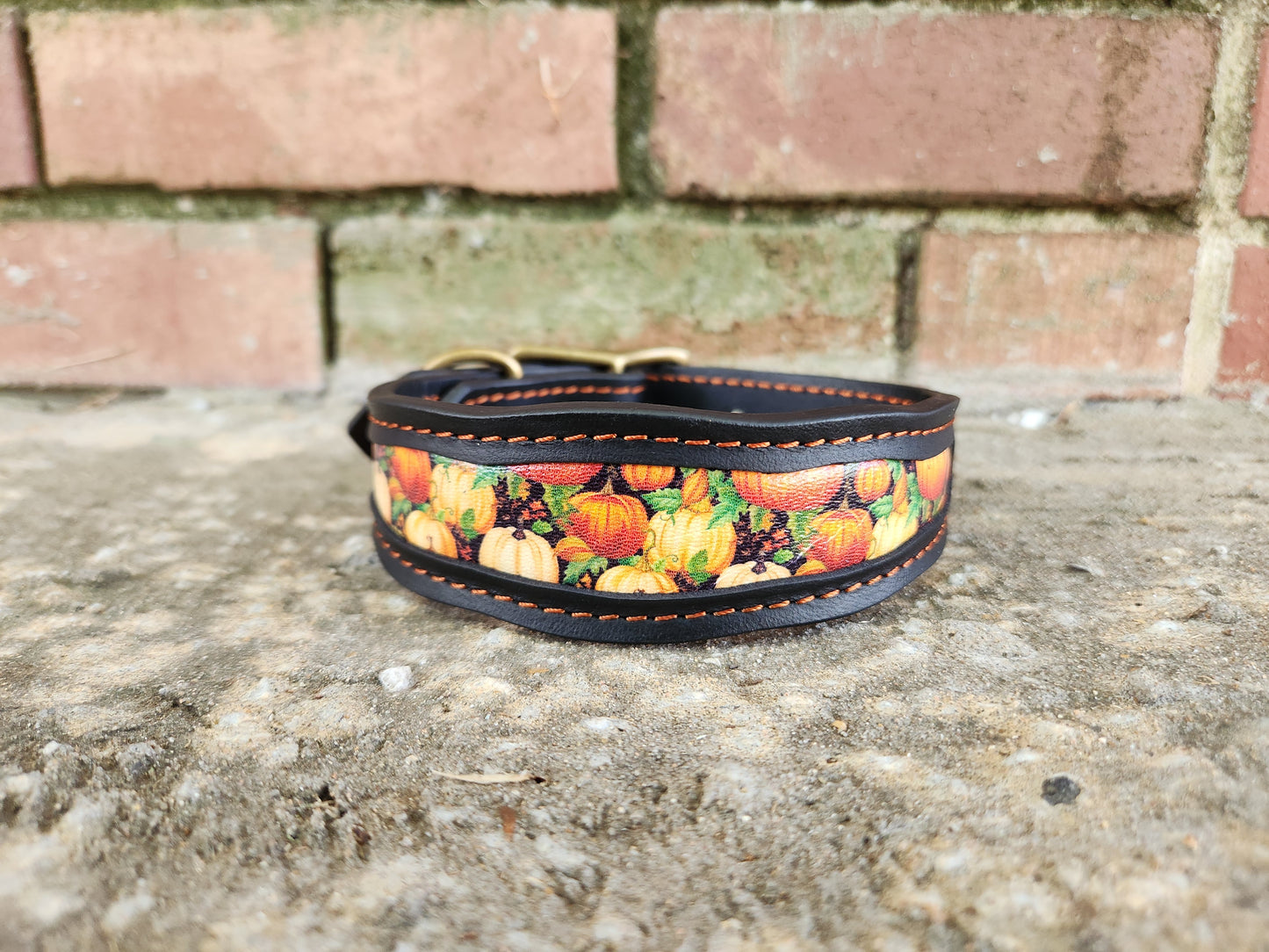 Custom Pumpkin Collar