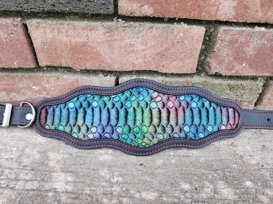 15"-19" Rainbow Dragon