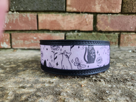 Custom Magical Cats Collar