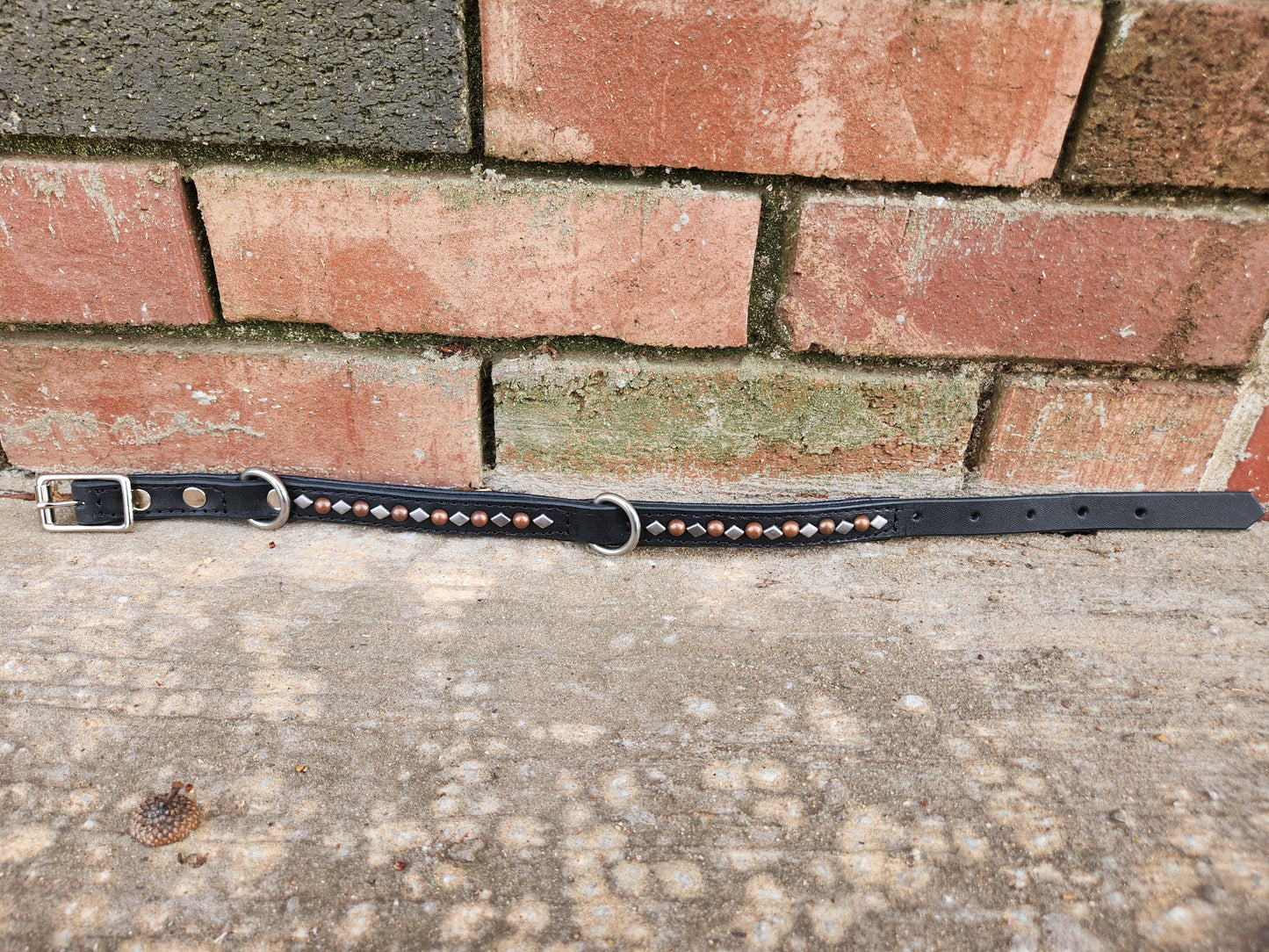 13.5"-17.5" Studded collar