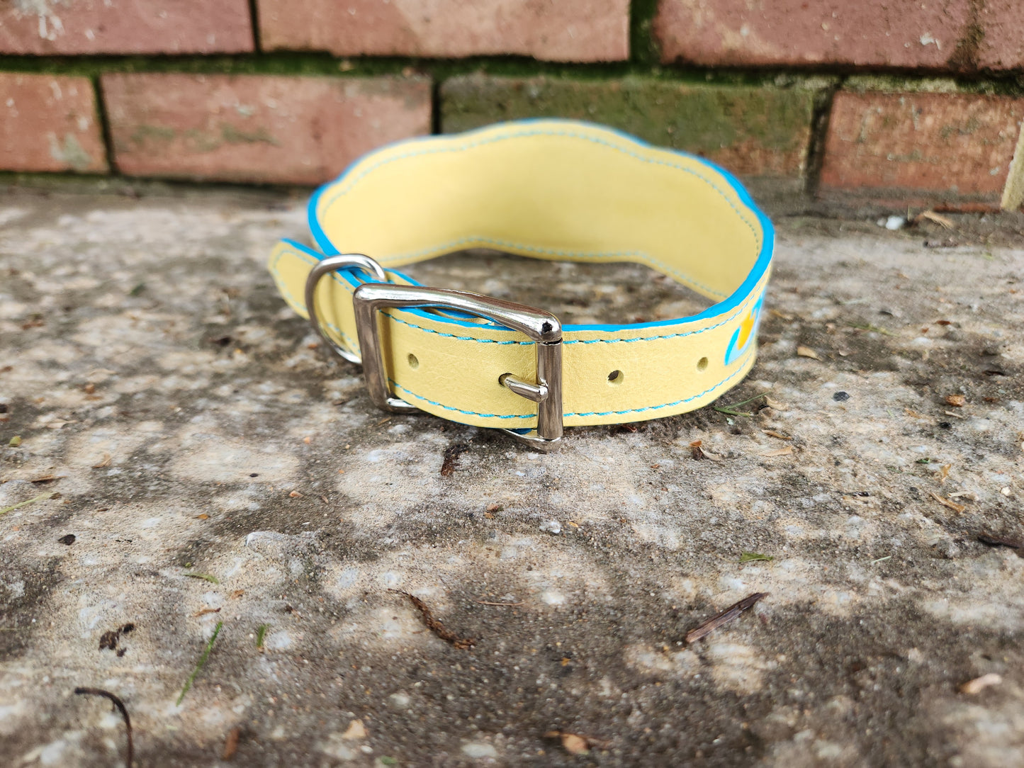 Custom Rubber Ducky Collar