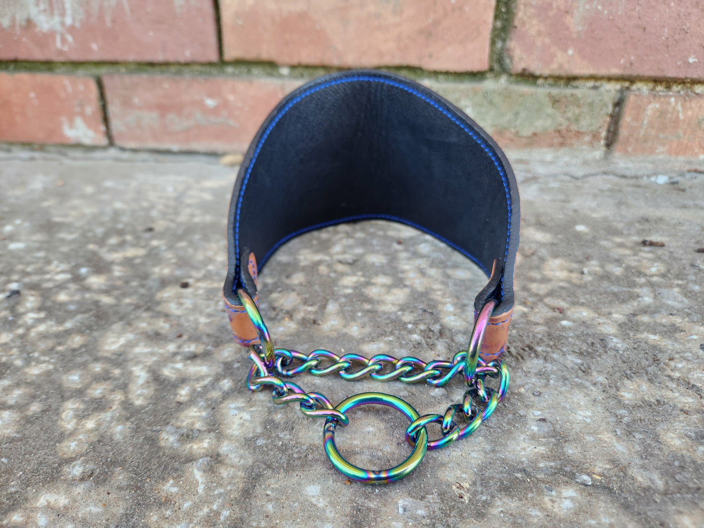 13"-17" Marbled martingale