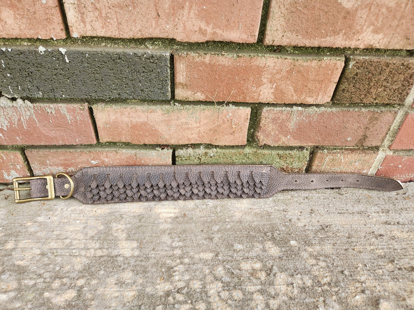 Acorn Scales