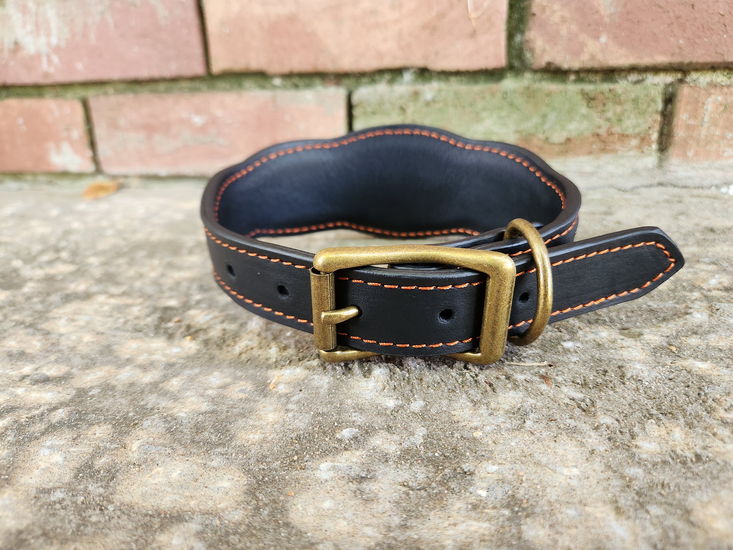 Custom Pumpkin Collar